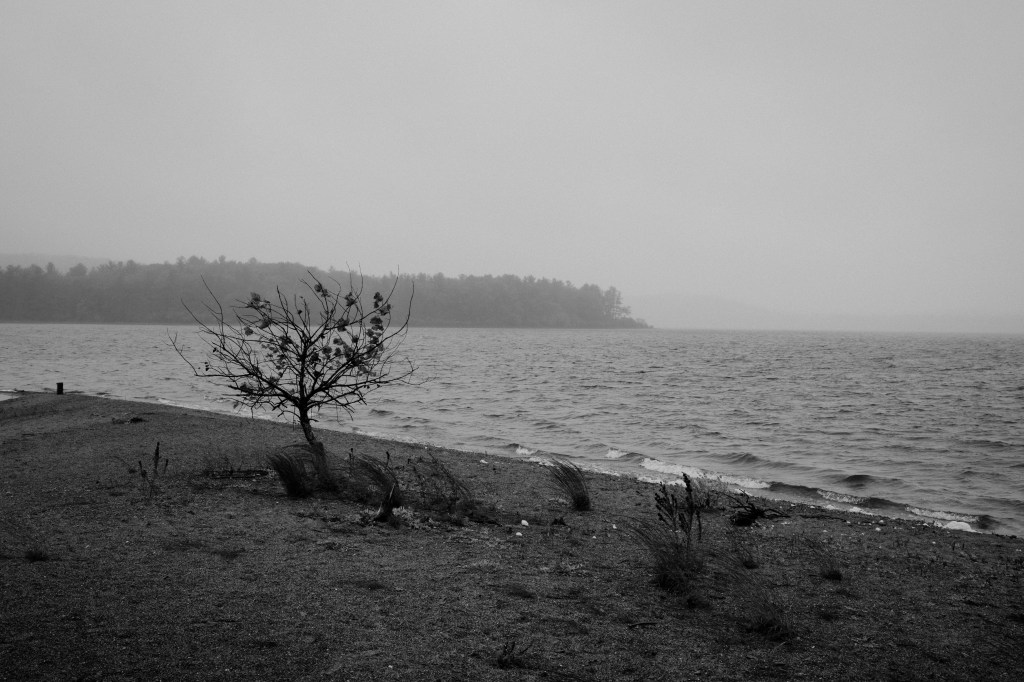 Rainy Lake Morning with the Fujifilm&nbsp;X100VI